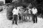Paesaggi e storie in bianco e nero