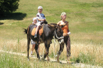 <p>Trekking with Donkeys - Valnerina - Umbria</p>