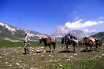 <p>Excursions with mules - Parco Nazionale Monti Sibillini - Valnerina - Umbria</p>