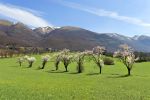 Primavera in Valnerina