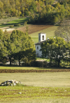 Chiesa di San Procolo - Avendita - Cascia