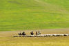 Passeggiata a cavallo - Altopiano di Castelluccio - Norcia