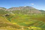 Castelluccio di Norcia  - Parco Nazionale dei Monti Sibillini - Valnerina